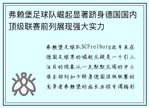 弗赖堡足球队崛起显著跻身德国国内顶级联赛前列展现强大实力